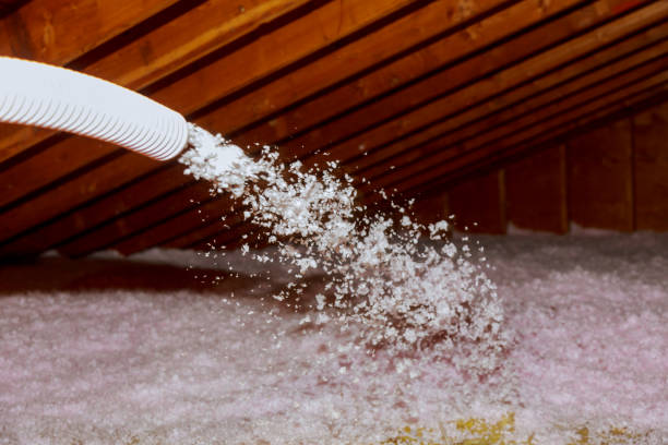 Best Insulation Air Sealing  in Atascocita, TX